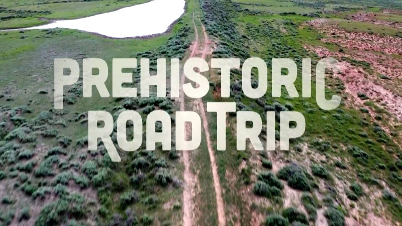 Prehistoric Road Trip backdrop