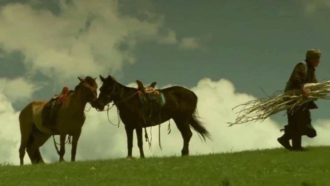 The Horse Trainer backdrop