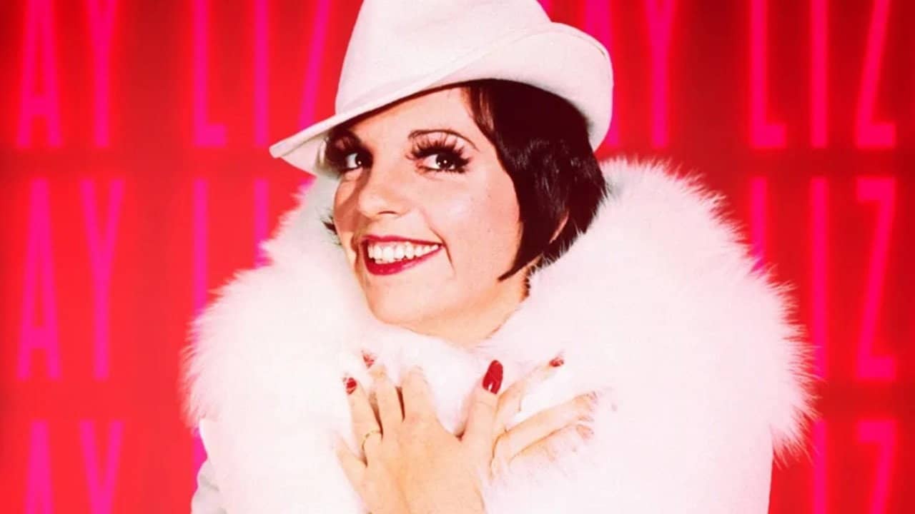 Liza Minnelli, la dernière héritière d'Hollywood backdrop