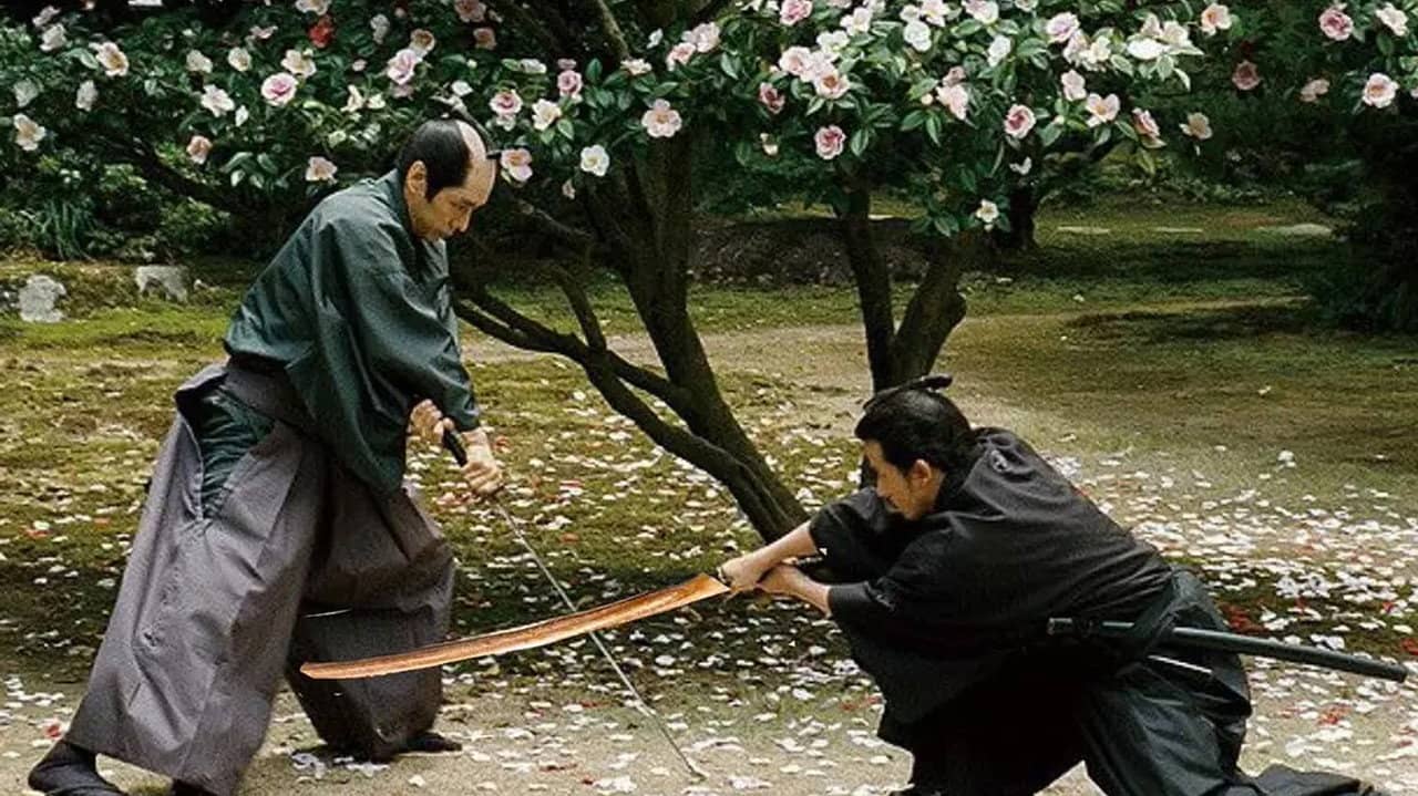 Falling Camellia backdrop