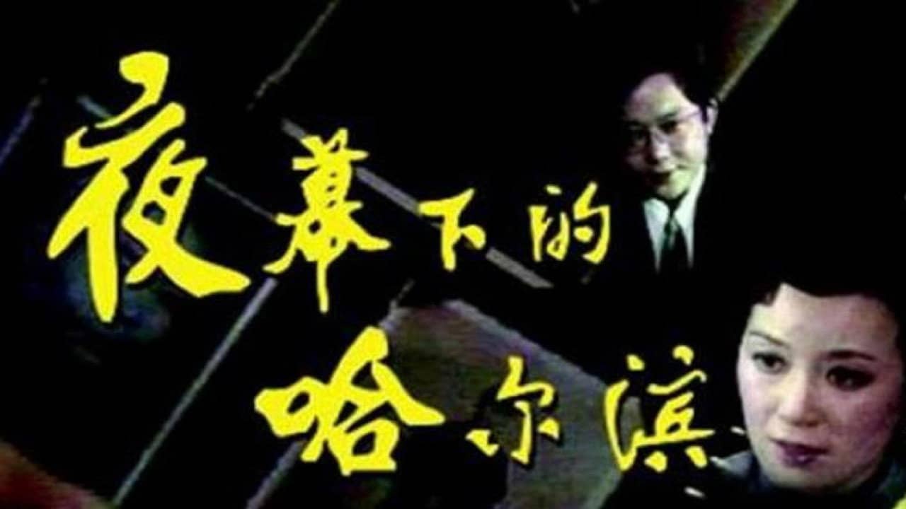 夜幕下的哈尔滨 backdrop