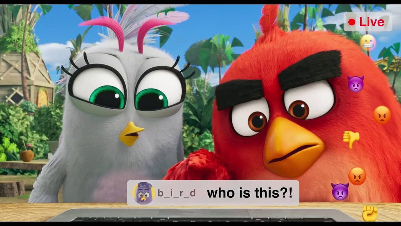 Angry Birds: Live Stream backdrop