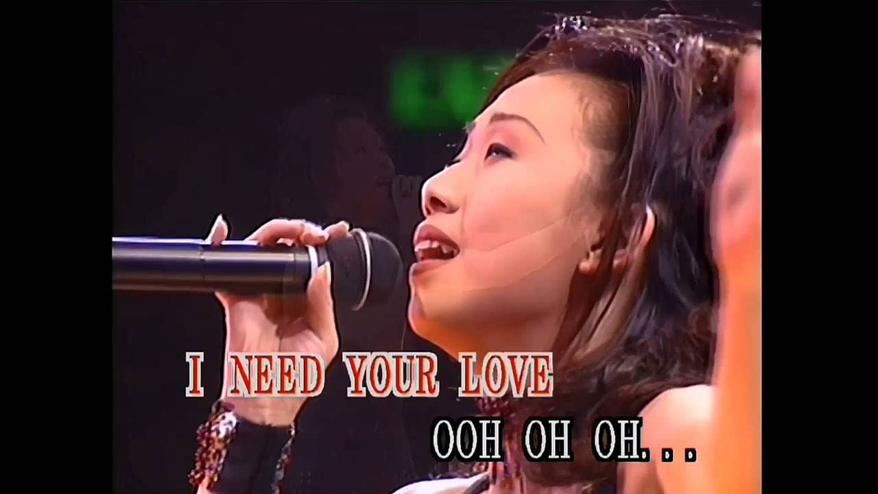 林忆莲1993天地野花情憾红馆演唱会 backdrop