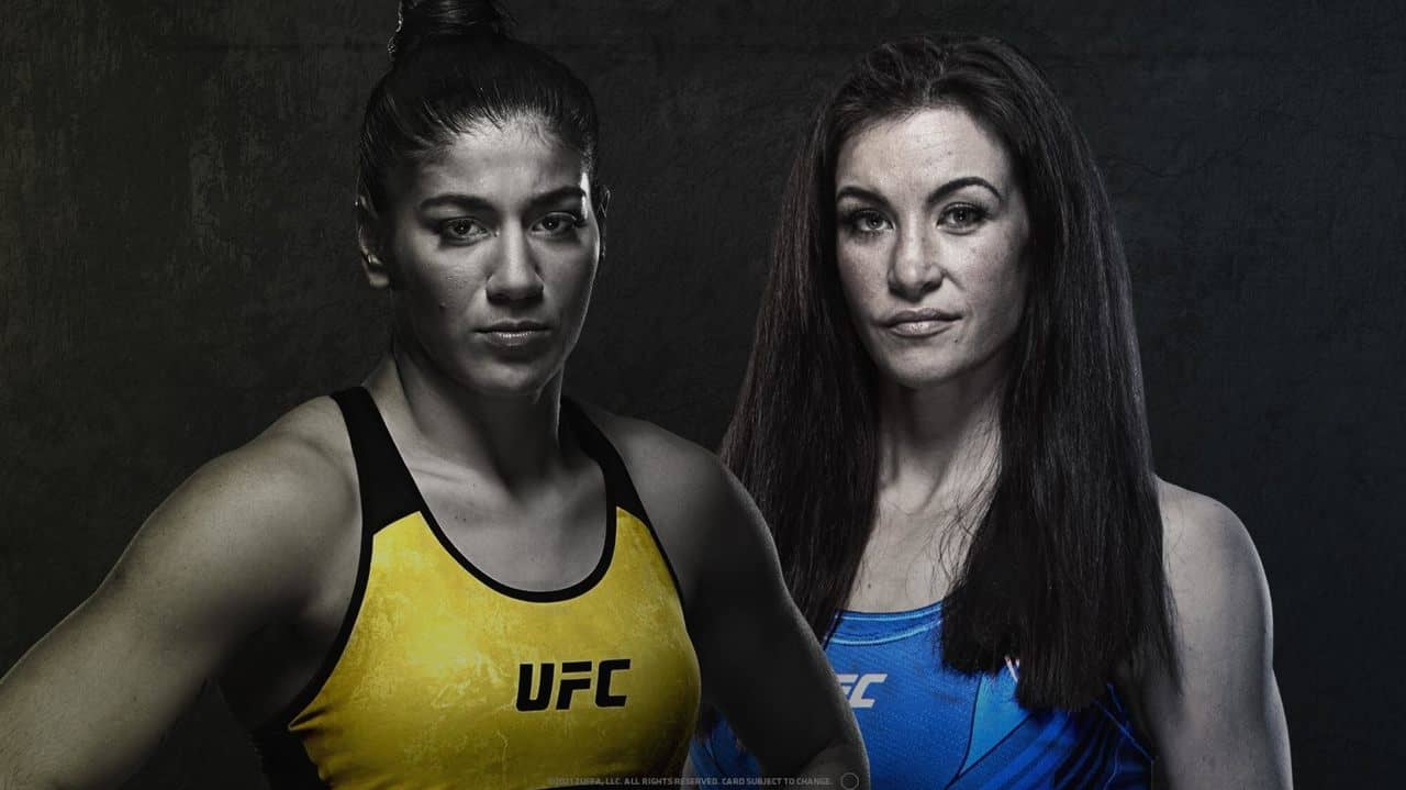 UFC Fight Night 198: Vieira vs. Tate backdrop