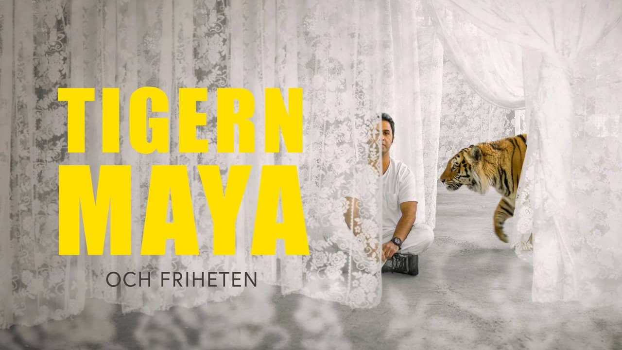 Maya backdrop