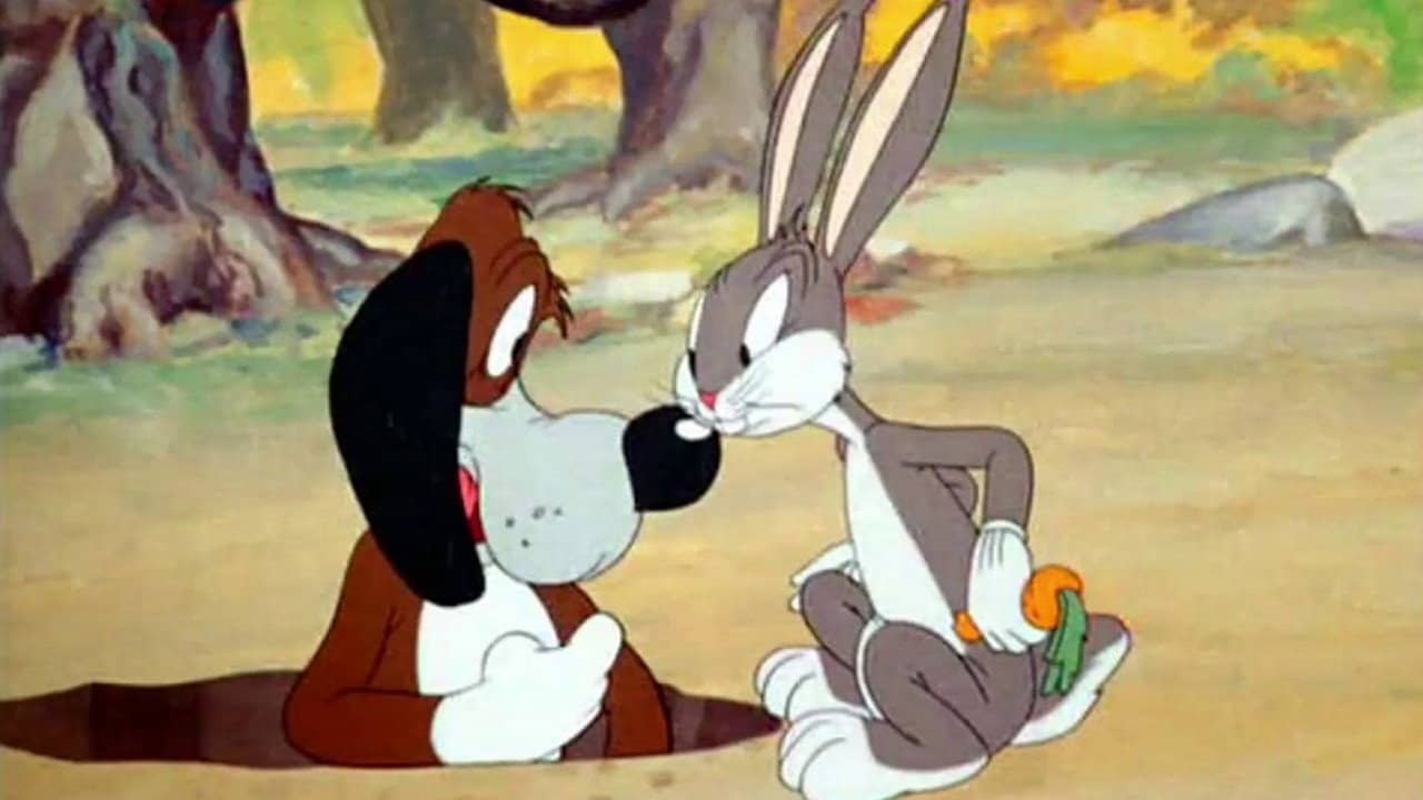 The Heckling Hare backdrop