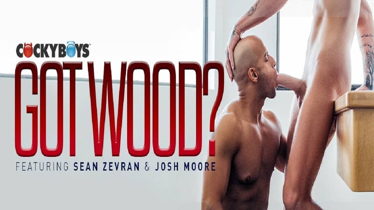 Got Wood? backdrop