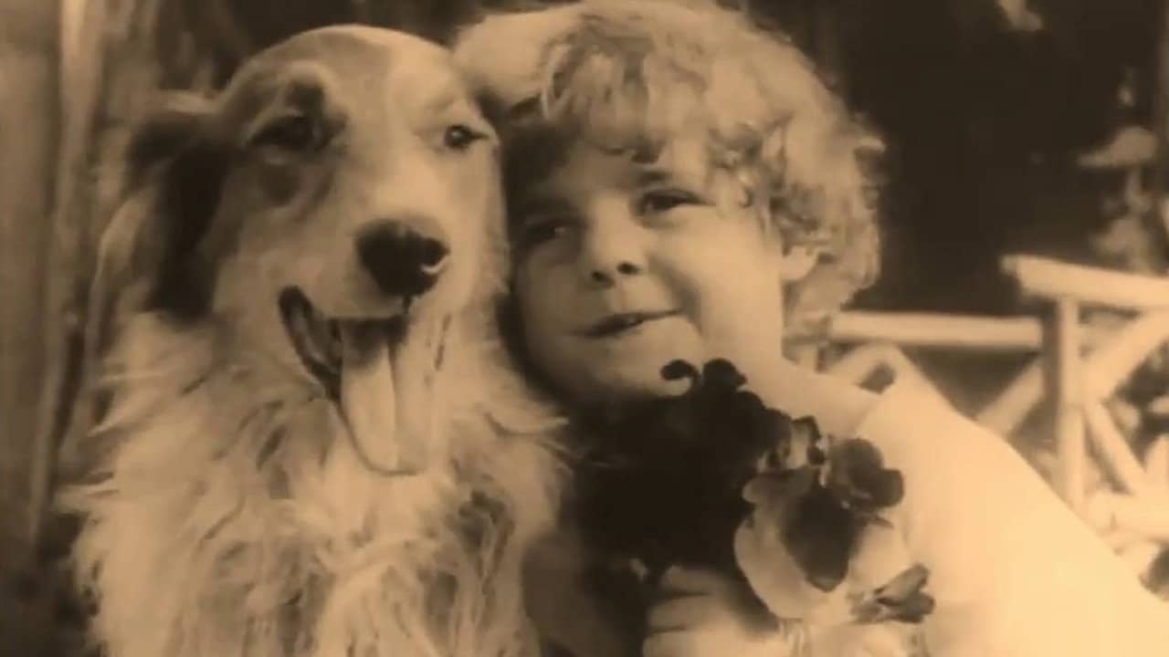 A Dog's Love backdrop