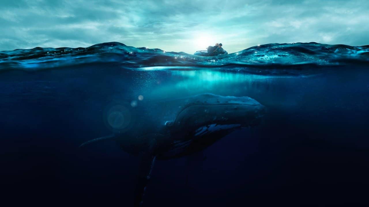 Fathom backdrop