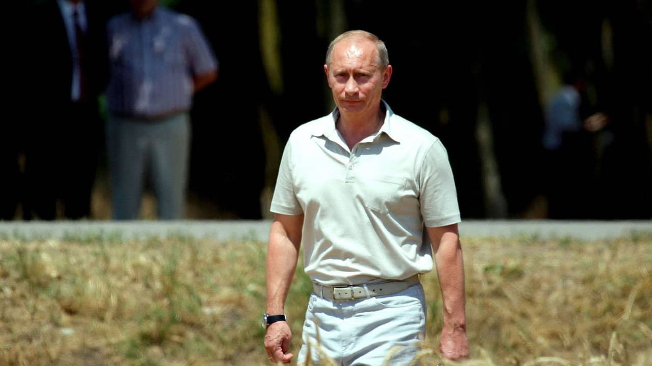 Le blé, l'autre arme de Poutine backdrop