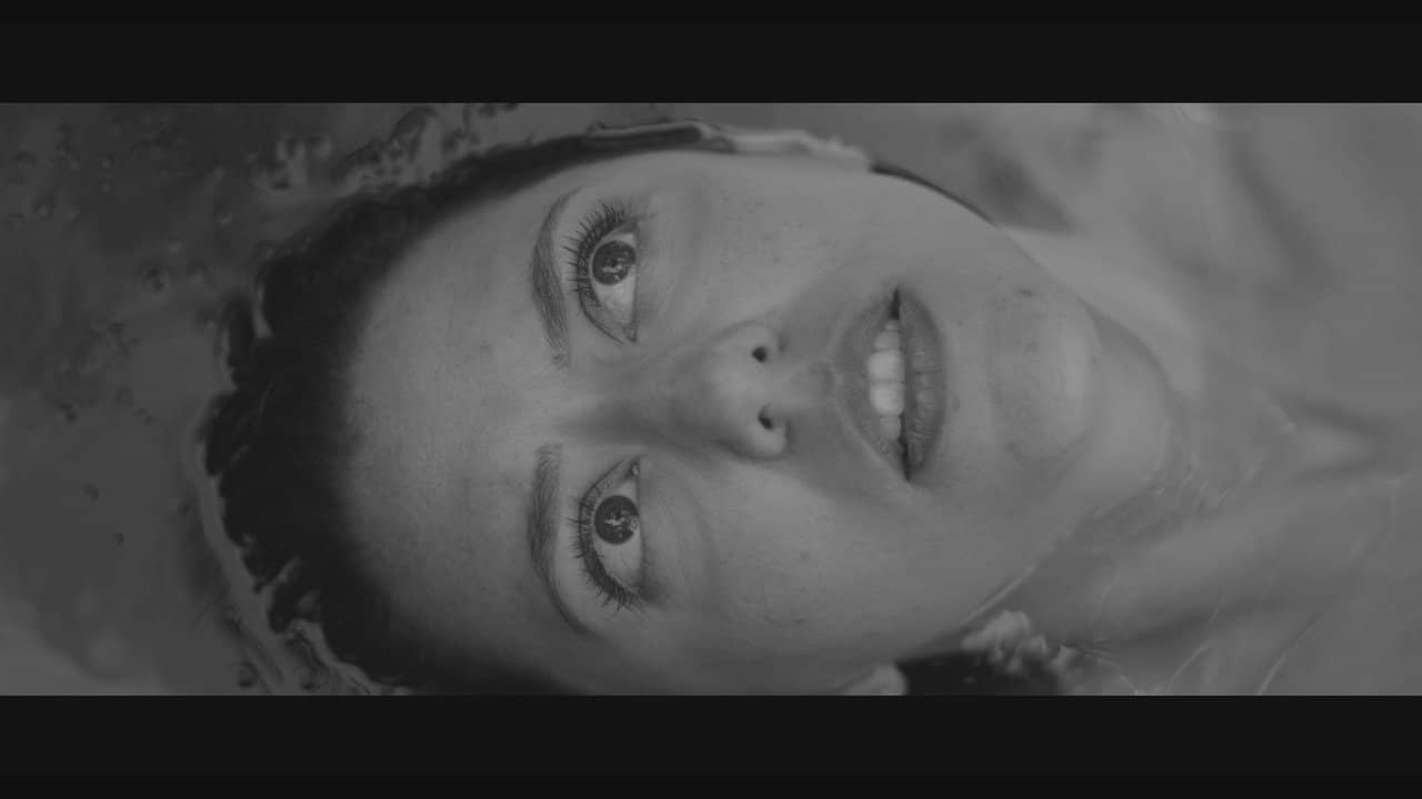Avenca backdrop