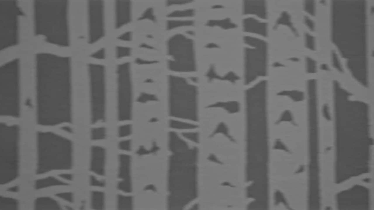 Echo Awake backdrop