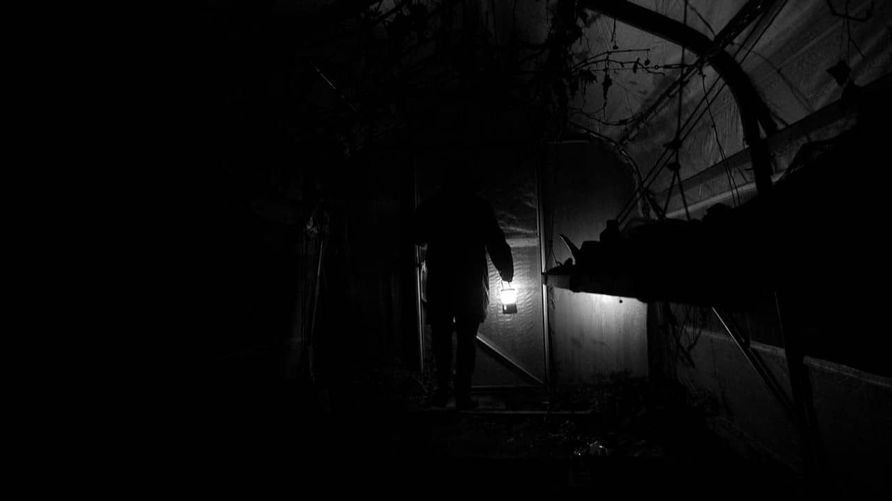Don’t Leave Me backdrop