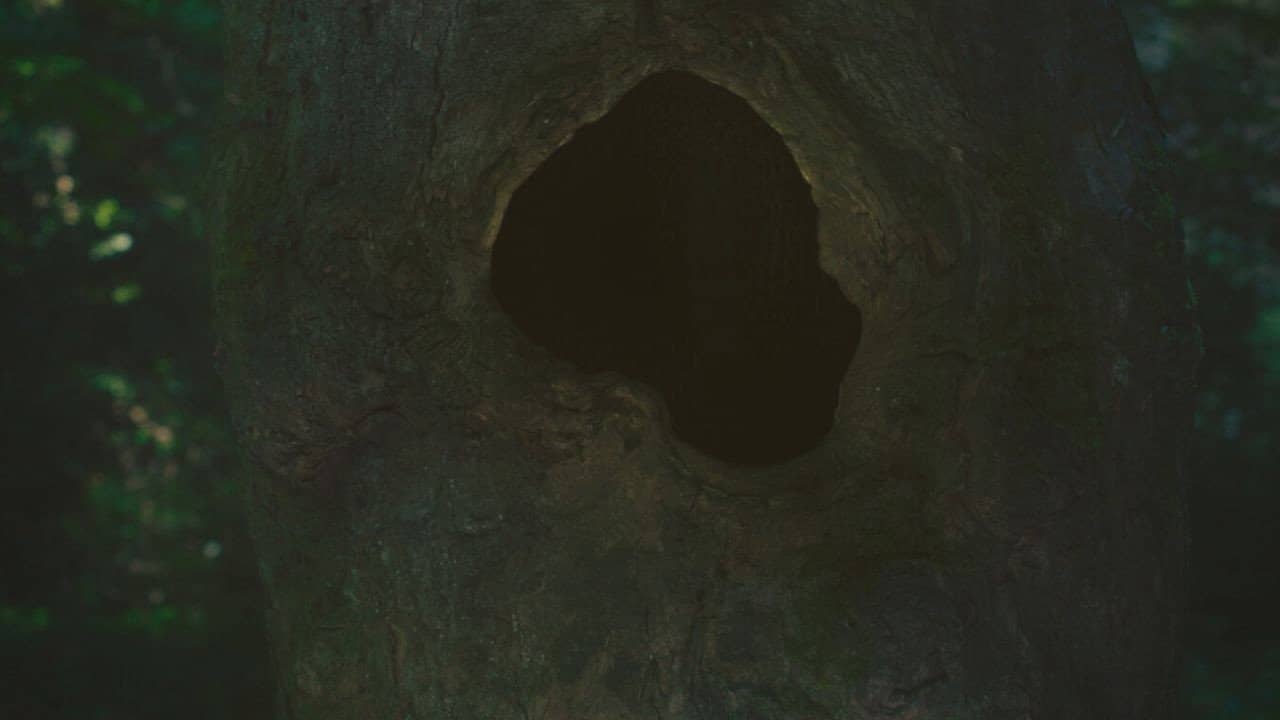 Earthen backdrop