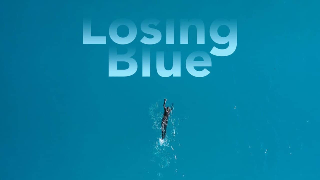 Losing Blue backdrop