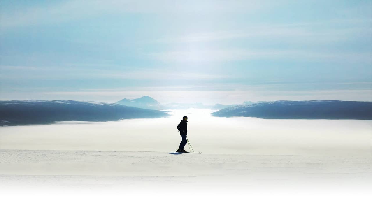 Sagan Stenmark backdrop