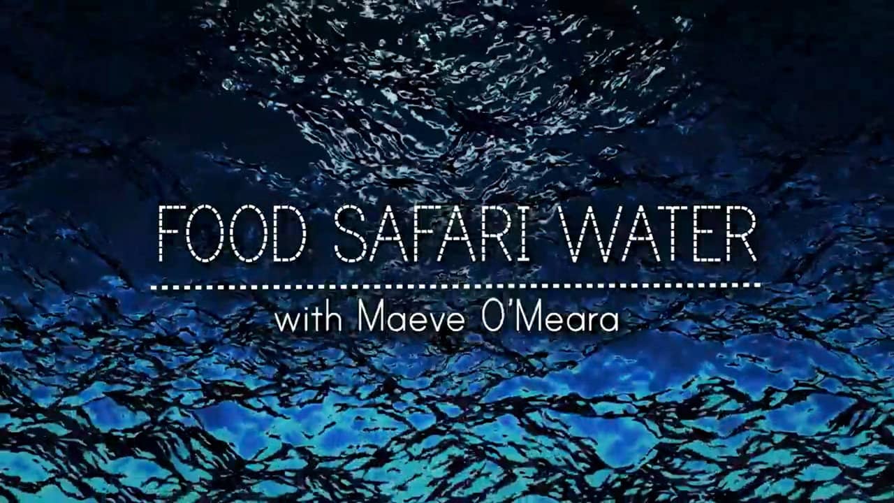 Food Safari Water backdrop