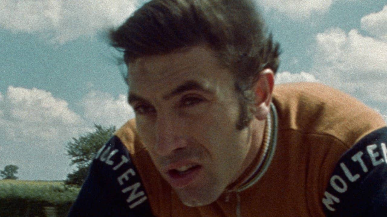 MERCKX backdrop
