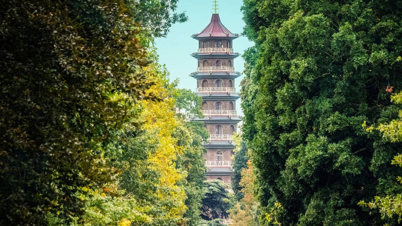 Kew Gardens: A Year in Bloom backdrop