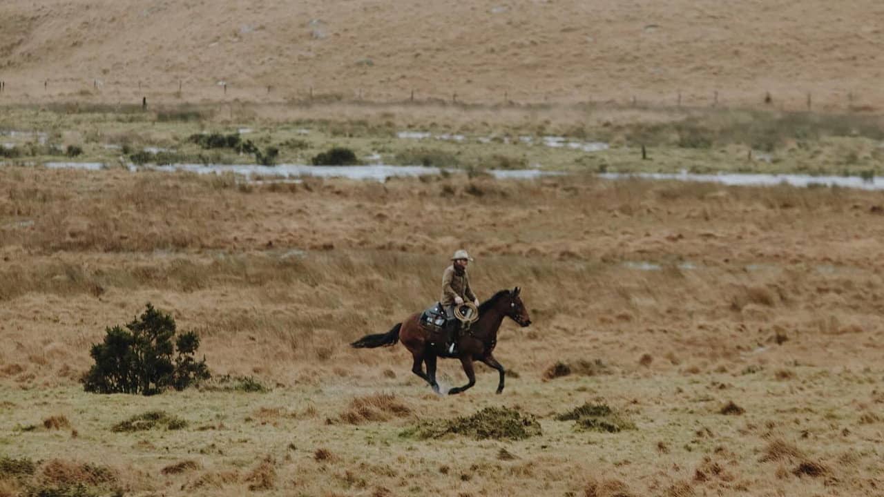 The Dartmoor Cowboy backdrop