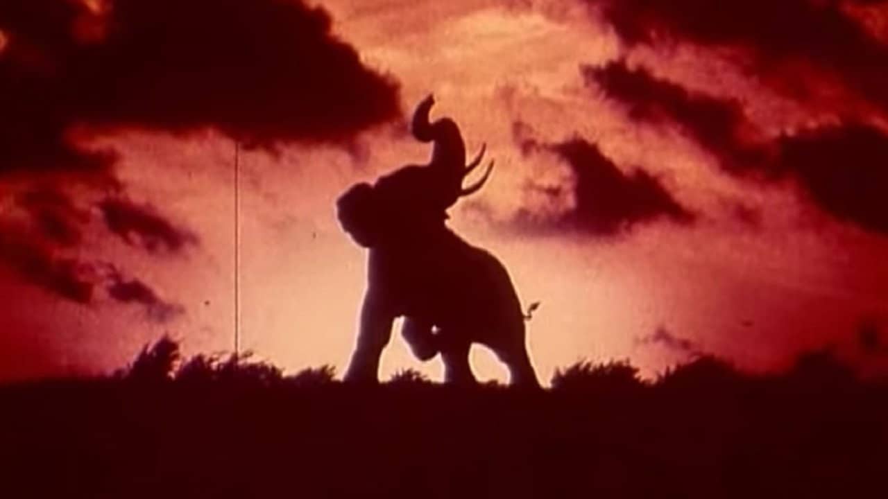 Tusk backdrop