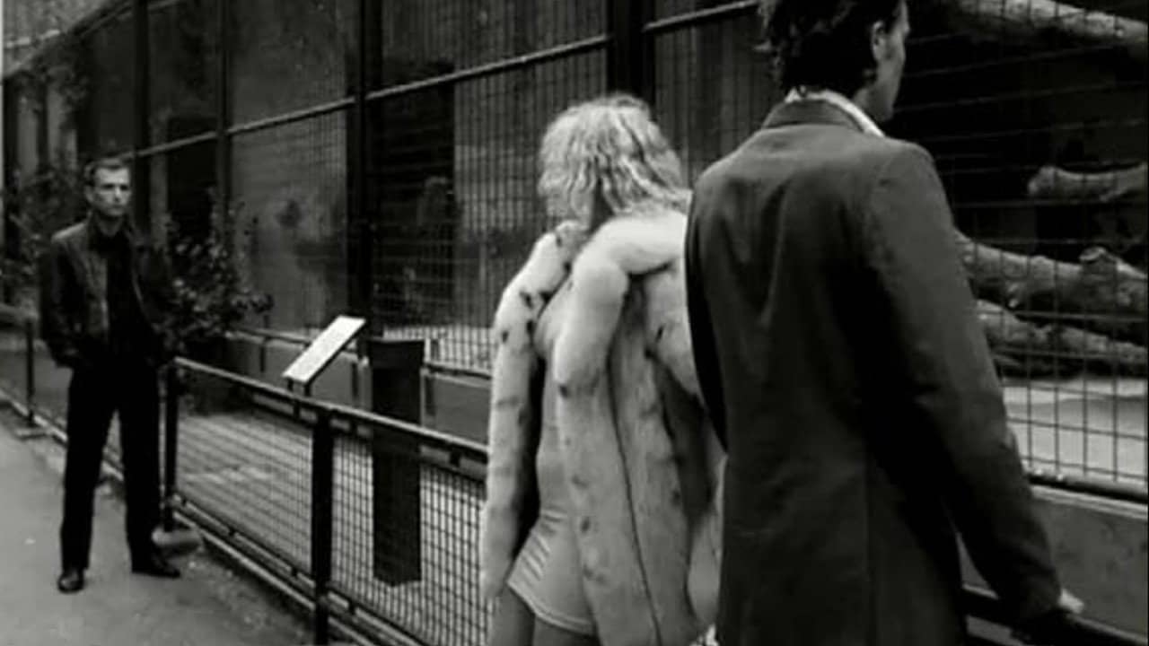 Venus in Furs backdrop