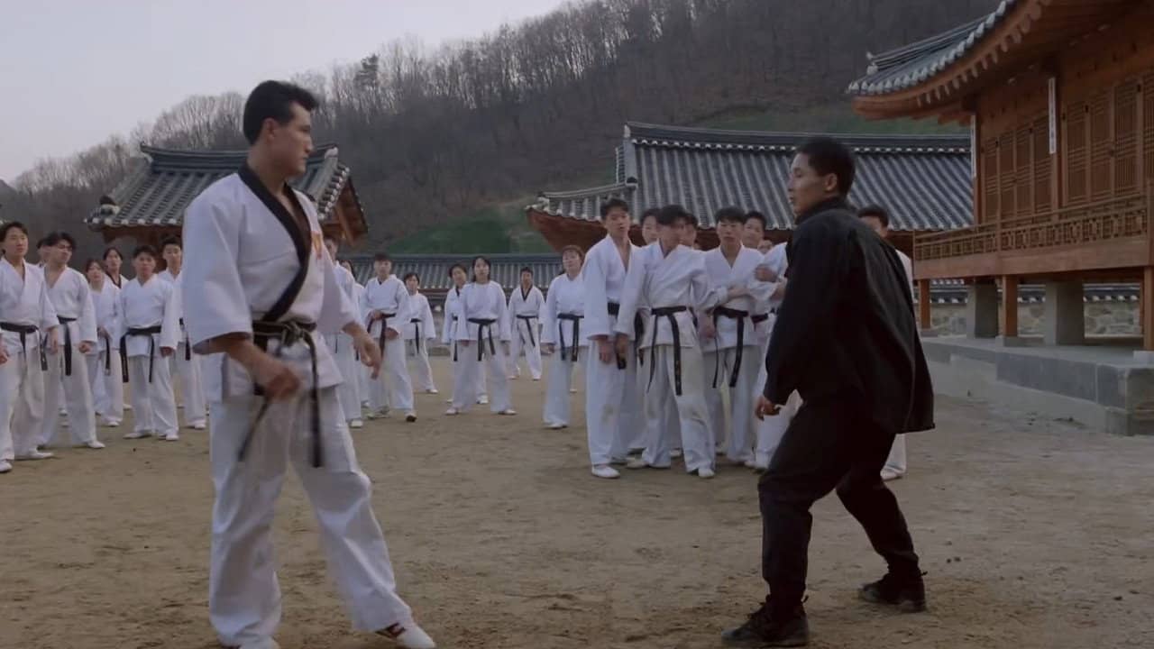 Taekwon Fighter backdrop