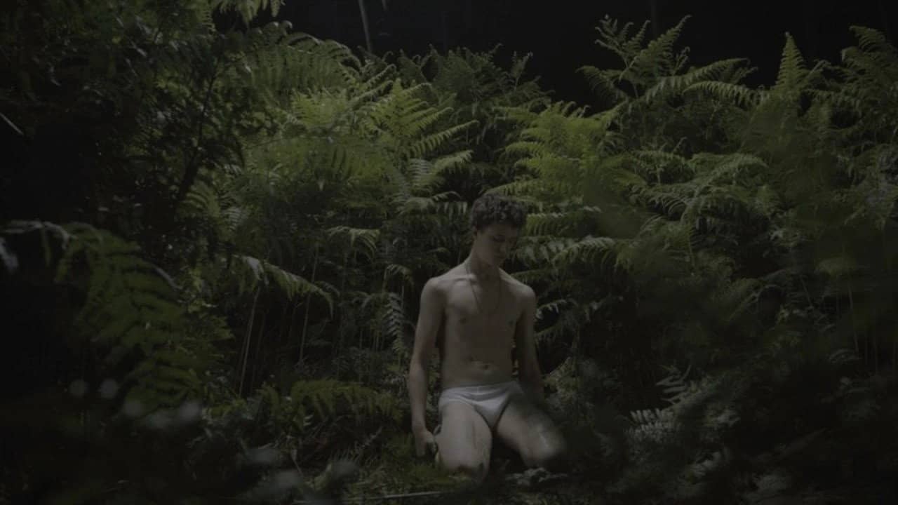 New Queer Visions: The Last Days of Innocence backdrop