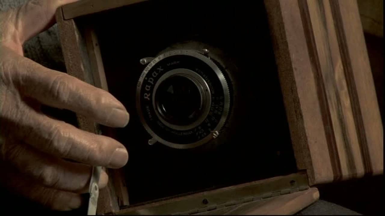 Toyo's Camera backdrop