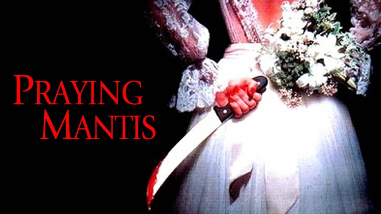 Praying Mantis backdrop