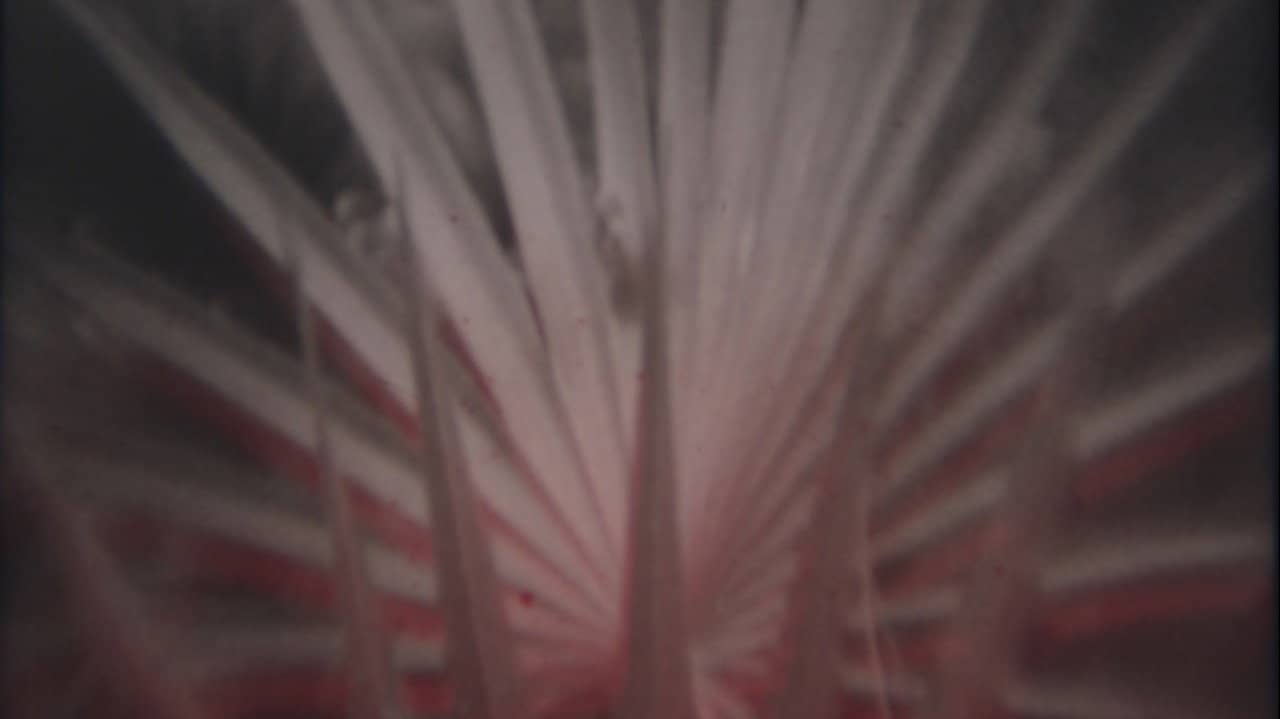 Nowhere Fast backdrop