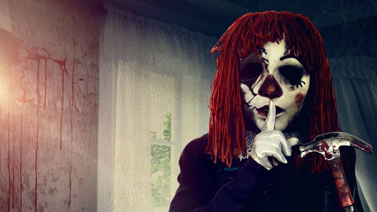 Ragdoll backdrop