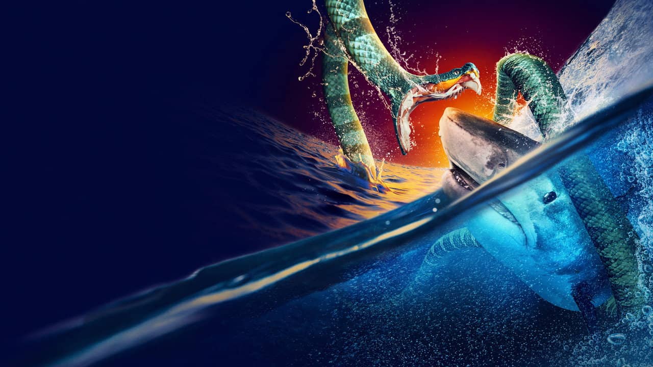 Shark vs Snake: Battle of the Bites backdrop