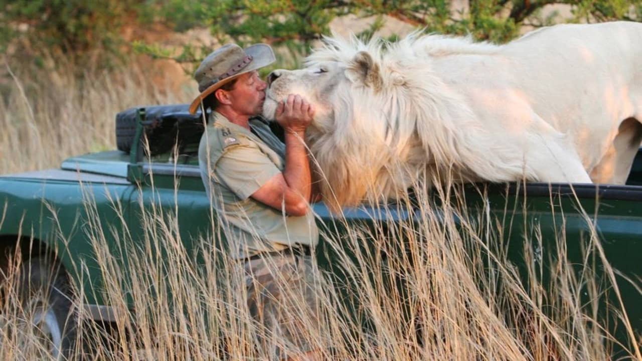 The Lion Man: African Safari backdrop