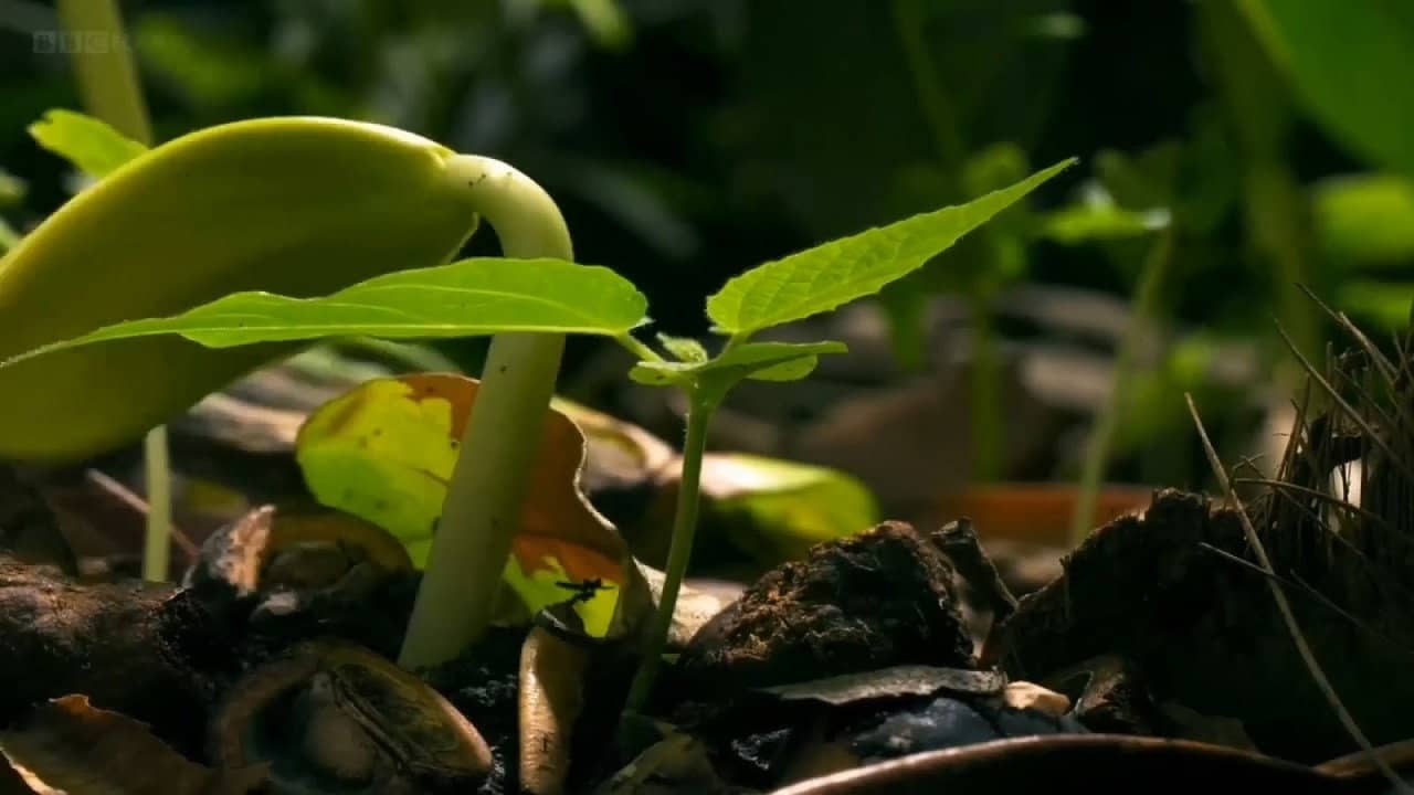Deep, Down & Dirty: the Science of Soil backdrop