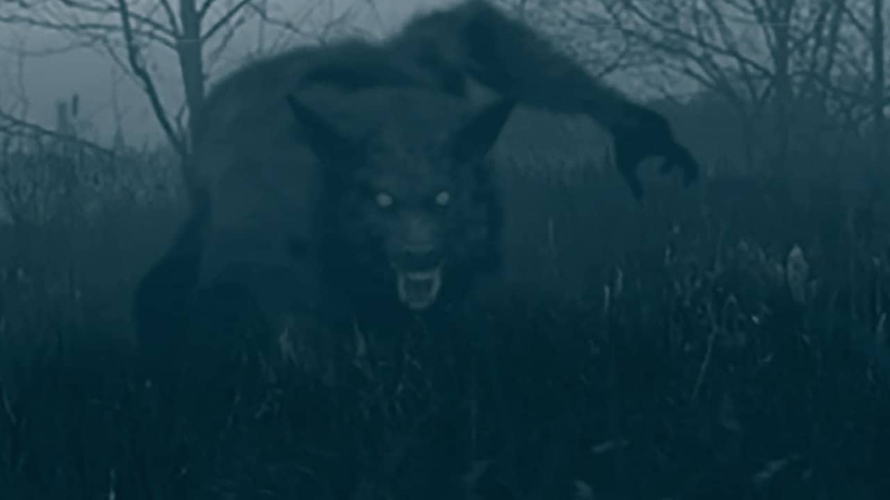The Bray Road Beast backdrop