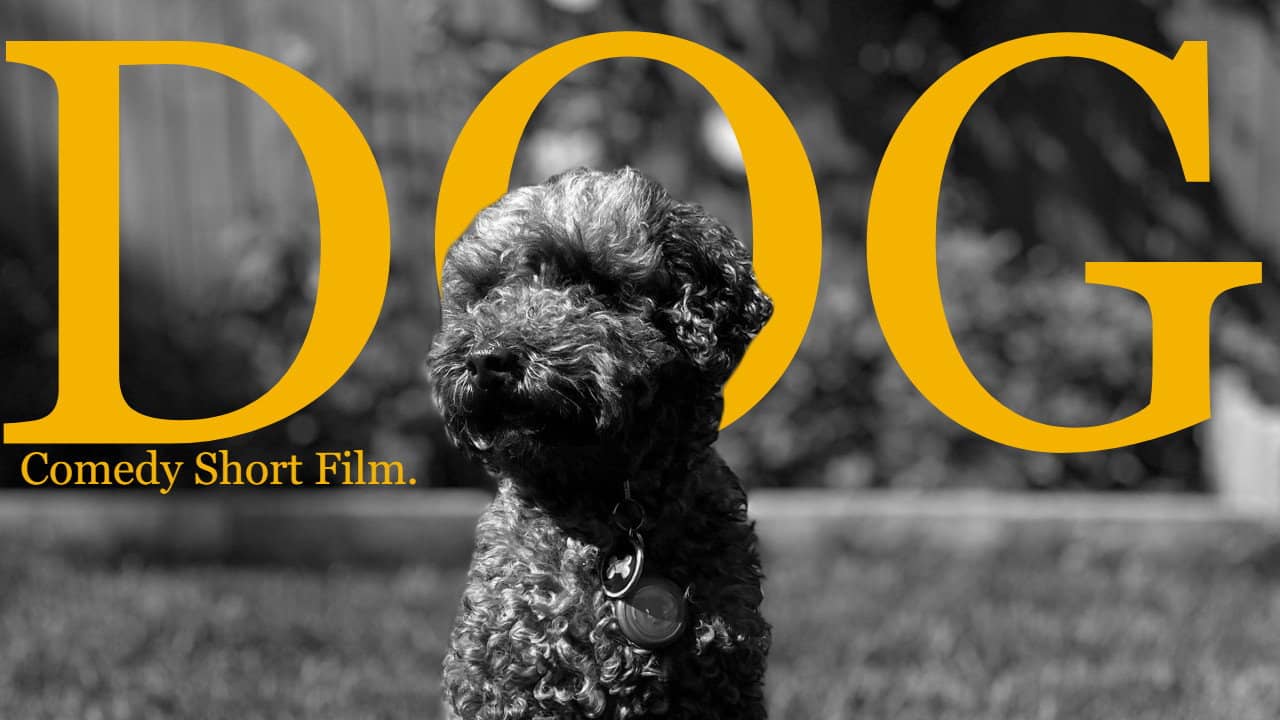 Dog (The Mockumentary) backdrop