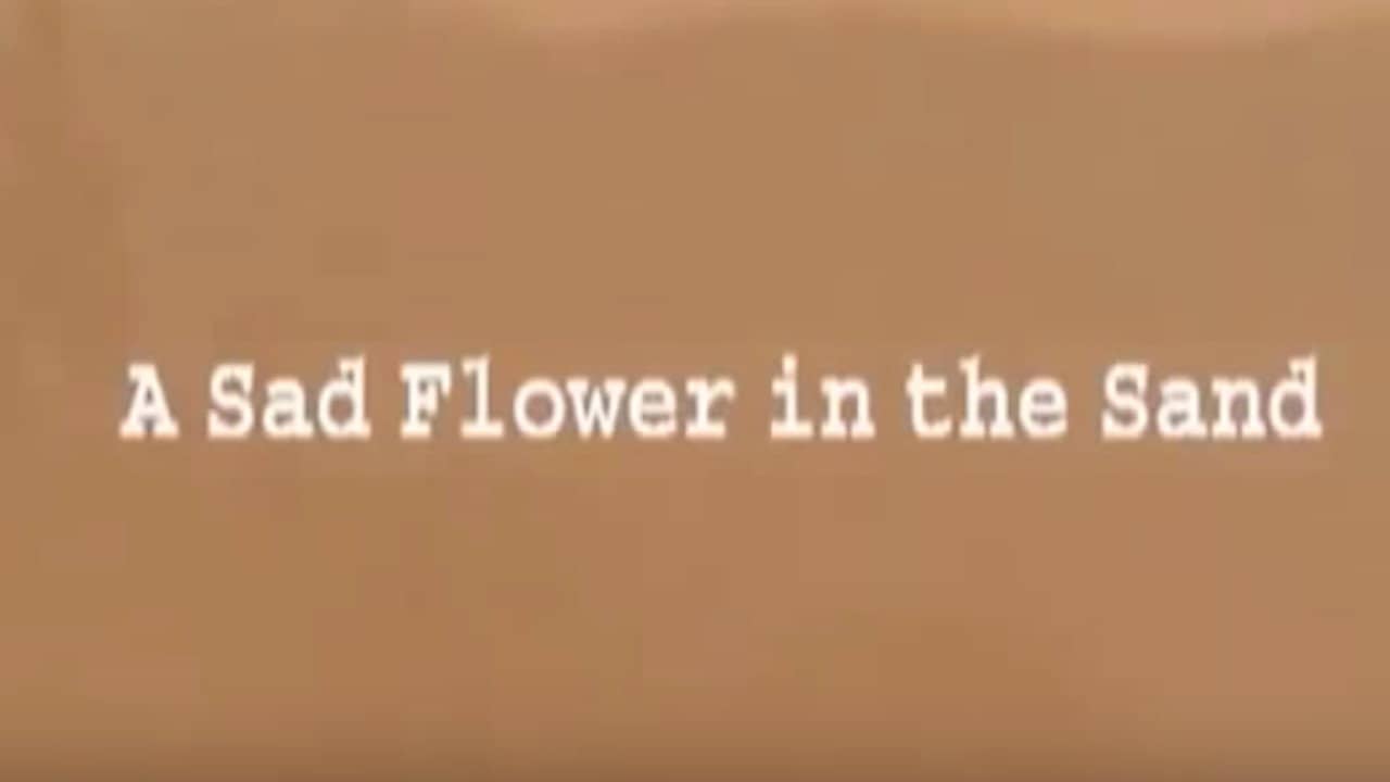 A Sad Flower in the Sand backdrop