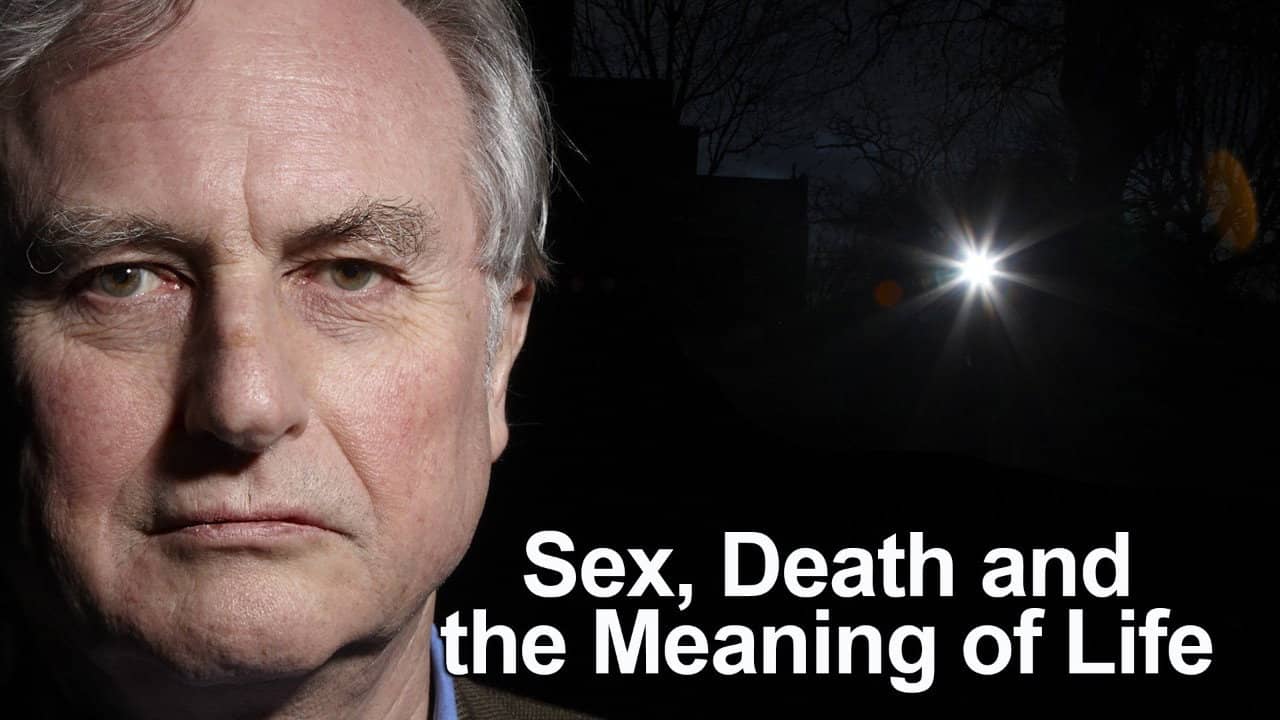Sex, Death and the Meaning of Life backdrop