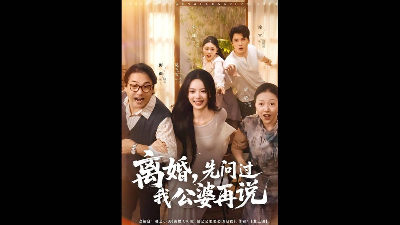 离婚，先问过我公婆再说 backdrop