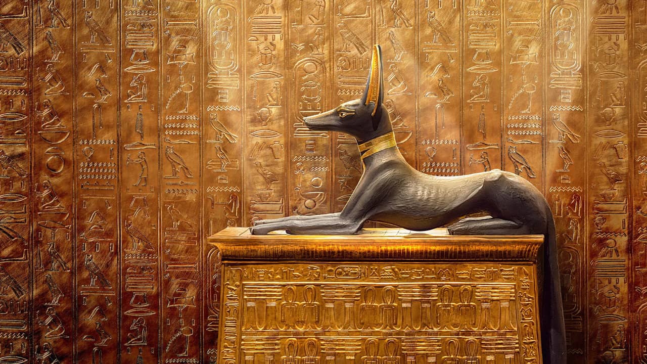 King Tut: A Century of Secrets backdrop