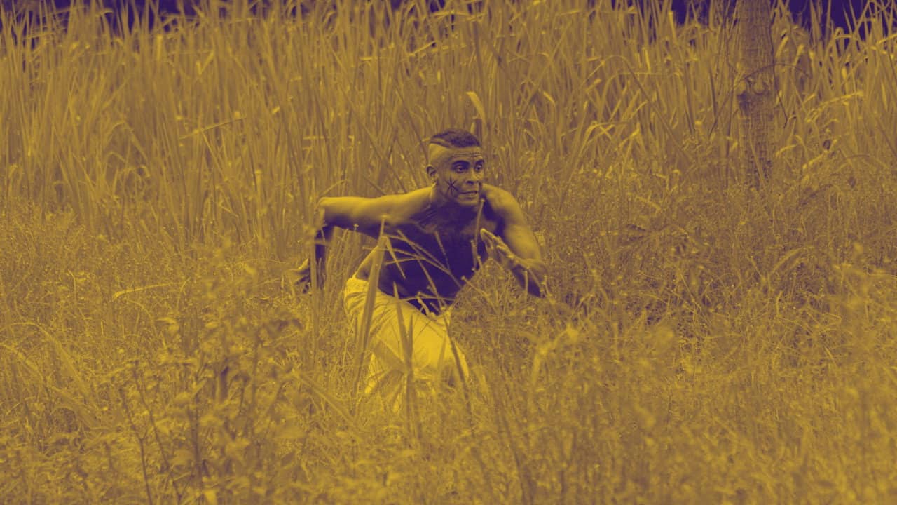 Memória: História é filme, não é foto. backdrop