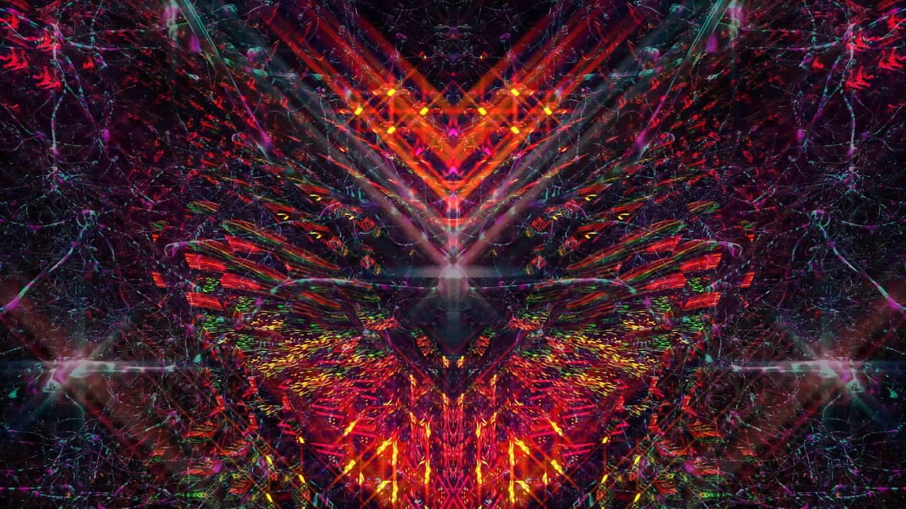 Bufo Alvarius – The Underground Secret backdrop
