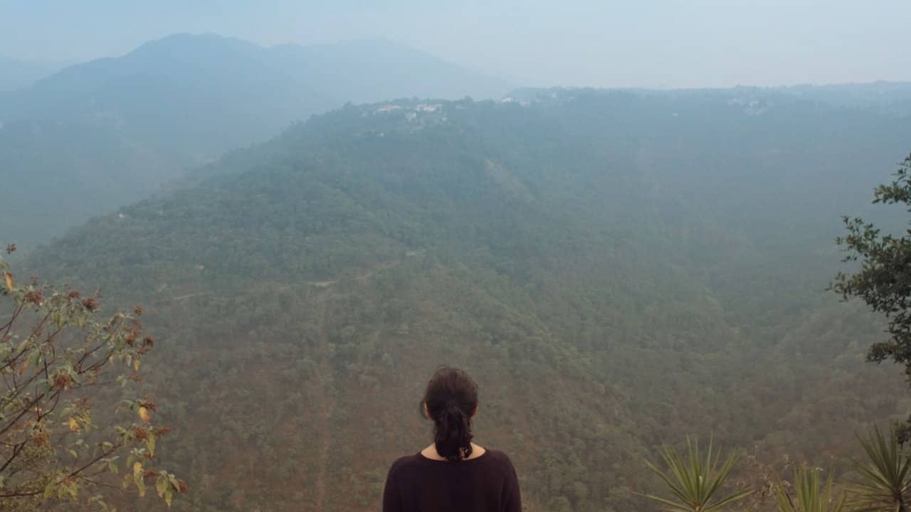 Nobody, Not Even the Mist backdrop