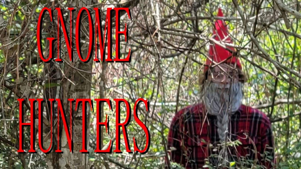 Gnome Hunters backdrop