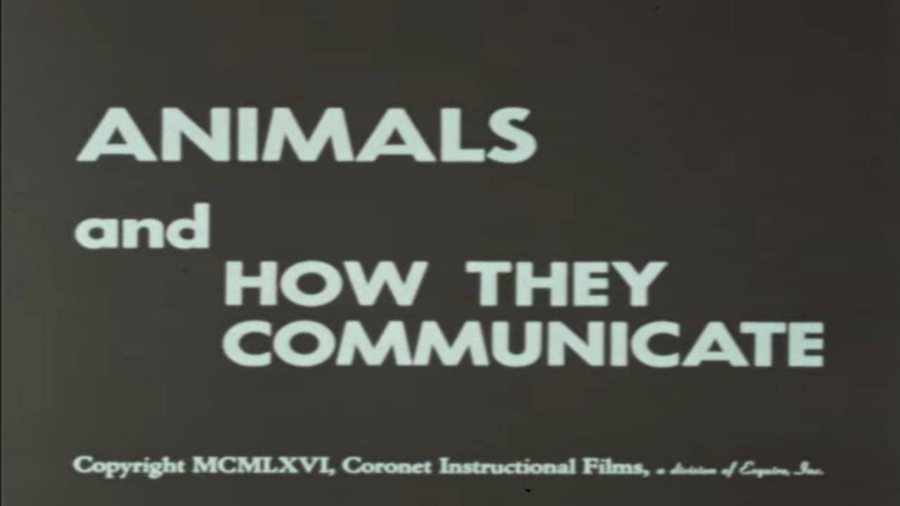 Animals and How They Communicate backdrop