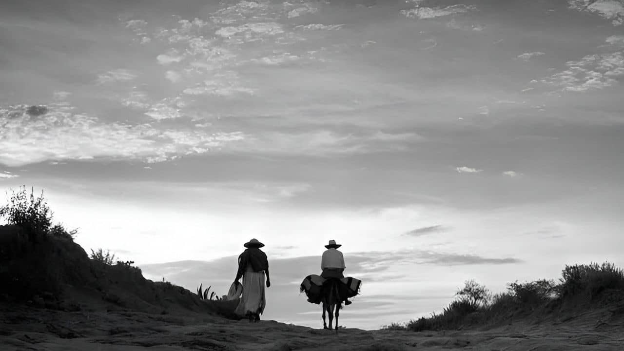 One Hundred Years with Juan Rulfo backdrop