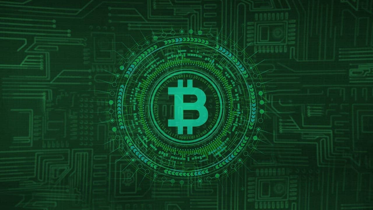 Cryptokoorts backdrop