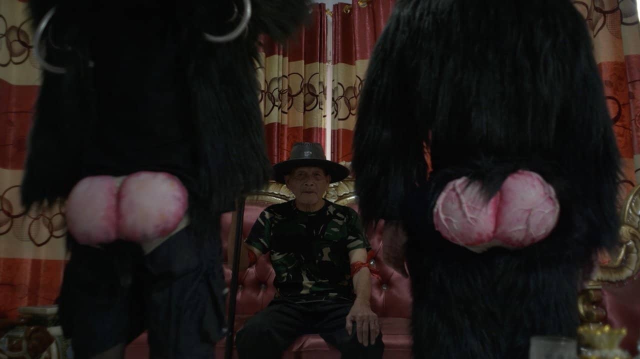 Primate Visions; Macaque Macabre backdrop