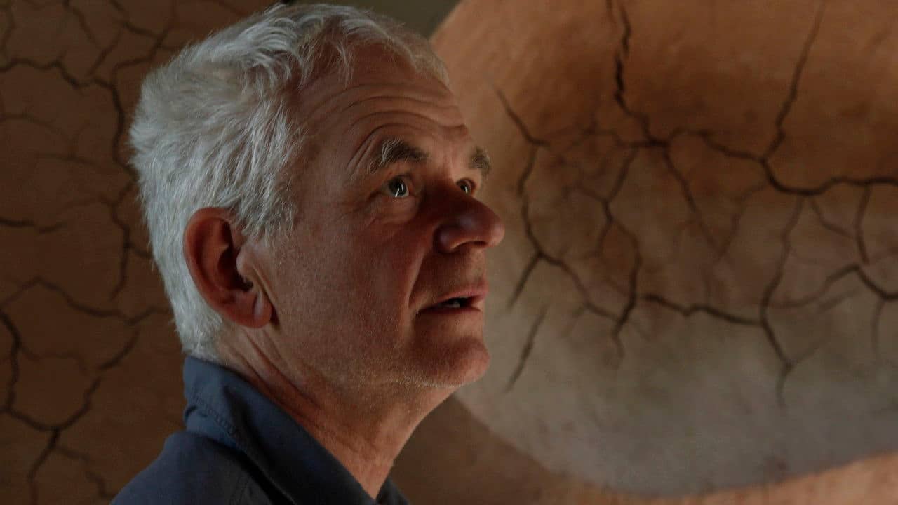 Leaning Into the Wind: Andy Goldsworthy backdrop